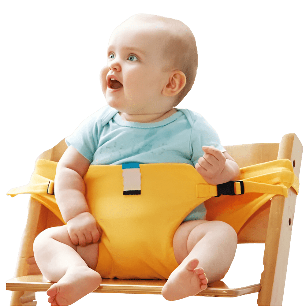 Adjustable Portable High Chair - Nugentra