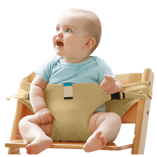 Adjustable Portable High Chair - Nugentra